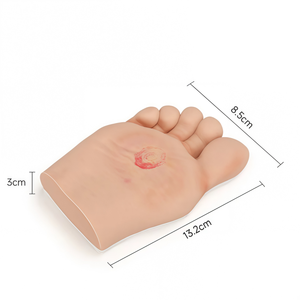 Modèle de pied diabétique en silicone de haute qualité avec ulcères purulents pour l'enseignement infirmier - Product Image 5