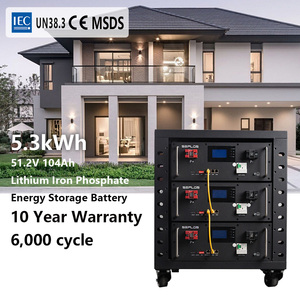 Factory Direct Seplos 51.2V 10KWh <b>Energy</b> <b>Storage</b> <b>System</b> 48V 200Ah LiFePO4 Solar Home Battery Wholesale - Product Image 2