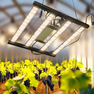 ไฟปลูกพืชแบบไฮโดรโปนิกส์ LED กำลังไฟ 120W/240W/480W พร้อมสเปกตรัม 301H/301B สำหรับติดตั้งในเต็นท์ปลูกพืช ลดราคาพิเศษ - Product Image 4