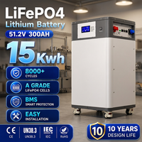 Système de stockage d'énergie résidentiel intelligent 15KWH 16KWH Batterie LiFePO4 51.2V 300Ah Batterie solaire sur pied