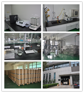 ผงเมล็ดมะละกอขนาดใหญ่ - Product Image 6