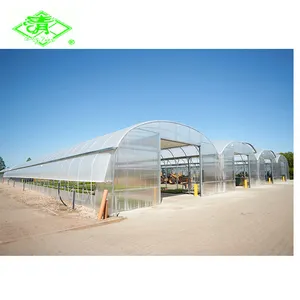 工厂价格200微米农用温室塑料薄膜盖温室