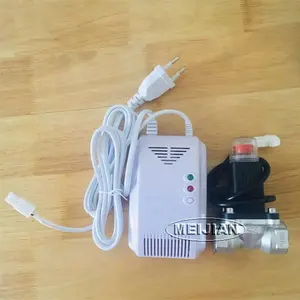 用于天然气管道12V/24V LPG/LNG燃气阀的气体检测器