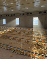 Équipement de système de plancher pour poulets de chair pour l'élevage de volailles