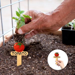 15 Étiquettes de Jardinage en Bois Rustiques et Contemporaines pour Plantes, Légumes et Art Floral – Écologiques - Product Image 3