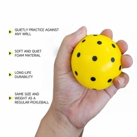 PatsSport Factory, vente en gros de balles de pickleball en mousse PU silencieuses, sans bordure, personnalisées, pour l'entraînement en salle, pour la pratique du pickleball