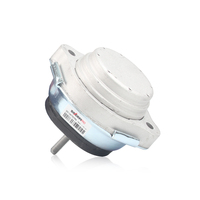 Soporte de Motor Disponible por Lotes, Compatible con BMW X5 E53 3.0i OE 22116770794, Pieza de Repuesto de Suspensión Automotriz Comercial