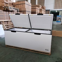 Congelador Horizontal Comercial de Una Sola Temperatura, Eficiente Energéticamente y Compacto, en Oferta a Buen Precio