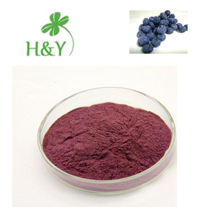 Cápsulas de arándanos en polvo de fruta instantánea de arándanos concentrado de jugo de calidad alimentaria Healthway Supply - Product Image 6