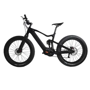 Dengfu Elektrische Fiets E06 E Mtb Bafang M620 1000W Grote Motor Bike