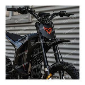 Moto tout-terrain 16800W économique Clouded Leopard Xe Pro - Product Image 3