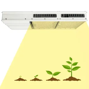 Vente en gros Gavita CT 1930e 800 watts LED élèvent la lumière spectre complet 800 W élèvent des lumières pour la culture hydroponique d'intérieur, plante de semis