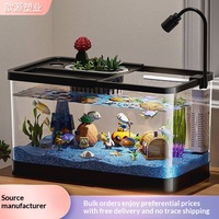 Aquarium d'eau douce pour salon, bureau, petite maison, aquascape écologique de bureau, poissons rouges, tortues, aquarium haute définition