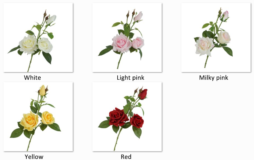 เลือกในภาพ