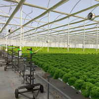Système hydroponique NFT Seedafarm à haute rigidité pour la culture de légumes sans terre, utilisation en tuyauterie, taille personnalisable, 3 mois