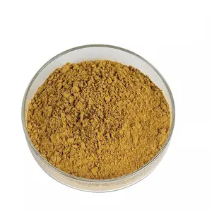 Herbal Extract Siberian Ginseng Extract Acanthopanax Senticosus