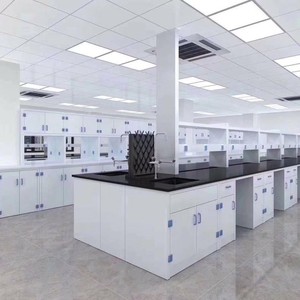 Pp Laboratory Workbench Chemical Lab Table Acid <b>Alkali</b> Resistant Polypropylene Surface School Use - Product Image 1