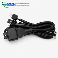 Harness Lampu Kabin Kapal Kustom, Kabel Lampu LED Marine Tahan Air IP67 OEM ODM Pabrik ABYC Langsung