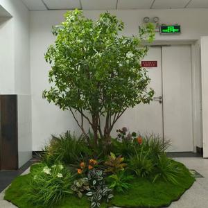 Árbol de Olivo Artificial de Fibra de Vidrio y Árbol de Campanilla Artificial para Decoración Moderna del Hogar en Interiores - Product Image 2