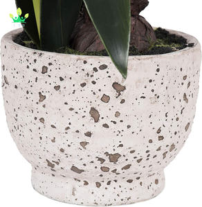 <span class=keywords><strong>Amaryllis</strong></span> artificiel rose en pot rond en céramique, arrangement en plastique et céramique <span class=keywords><strong>de</strong></span> qualité supérieure et durable pour la décoration <span class=keywords><strong>de</strong></span> table à la maison ou au bureau - Product Image 5