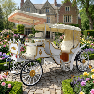 รถม้าไฟฟ้าแบบสองแถวสำหรับงานแต่งงานและท่องเที่ยว รุ่นซินเดอเรลล่า ฟังก์ชั่นคู่ ขายดีที่สุดประจำปี 2026 - Product Image 1