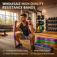 Bandas de Resistencia de Látex para Gimnasio y Fitness, con Logotipo y Colores Personalizados, Suministro Directo de Fábrica, para Uso Comercial