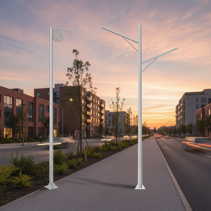 4m 5m Short Steel/Aluminum Outdoor Light <b>Poles</b> Galvanized Powder Coated High Quality <b>for</b> <b>Garden</b> Pathway Illumination 20 Years Hi - Product Image 1