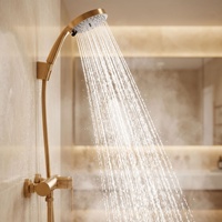Ensemble de douche mural en acier inoxydable 304, design luxe léger, pour petites salles de bain et projets commerciaux d'exportation, avec robinet chaud/froid