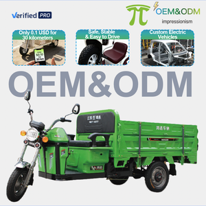 Tricycle cargo électrique à trois <span class=keywords><strong>roues</strong></span> IMP 2026 OEM 1000w avec double moteur et batterie, <span class=keywords><strong>scooter</strong></span> électrique, trike motorisé, tricycles électriques - Product Image 1