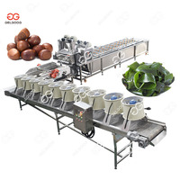 Gelgoog Auto Bramen Reinigingsapparatuur Citroenwasmachine Dragon Fruit Bessen Watermeloen Wasmachine