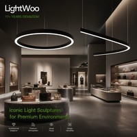 Système de profilé lumineux LED Lightwoo, 20 m de long, connexion 3 CCT, suspension décorative, pour bureau, commerce, hôtel