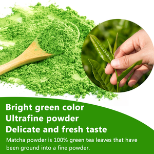 Chinaherbs Organic Matcha Powder 100g Té verde de calidad premium para Europa y América del Norte Rico en antioxidantes