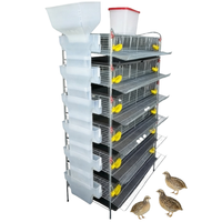 Cages d'élevage de cailles en acier inoxydable de type H, écologiques pour une gestion et une productivité agricoles efficaces