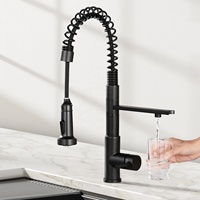 Robinet Mitigeur Monocommande Extensible à Rotation 360° CUPC Noir Mat pour Évier de Cuisine