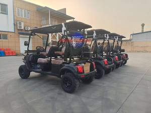 Carrito de Golf Personalizado de 2 Plazas, Carrito de Golf Eléctrico para Turismo, Carrito de Golf Todoterreno con Remolque en Venta - Product Image 3