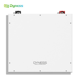 Dyness DL5.0c 51,2 V <span class=keywords><strong>100</strong></span> LiFePO4 batería 10kwh 5kwh 48V 51,2 V batería de litio solar montada en la pared 10 años de garantía - Product Image 5