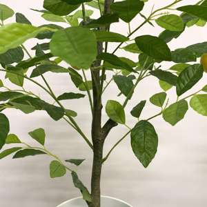 <span class=keywords><strong>Limonero</strong></span> artificial <span class=keywords><strong>gigante</strong></span> de 180cm-Planta frutal artificial Premium para sala de estar interior Grand Decor - Product Image 6