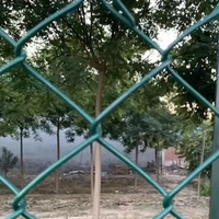 Clôture en treillis métallique à mailles losangées de haute qualité, thermolaquée, avec fil d'acier à faible teneur en carbone, pour les écoles et les terrains de jeux