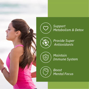 אוליי טבעוני מאצ 'ה תה ירוק תמצית gummies תוספי תזונה לשרוף שומן תה ירוק - Product Image 6