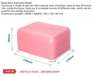 Modèle de formation à la ponction guidée par ultrasons médical modèle de ponction tumorale à ultrasons B pour l'enseignement de la pratique de la biopsie - Product Image 3
