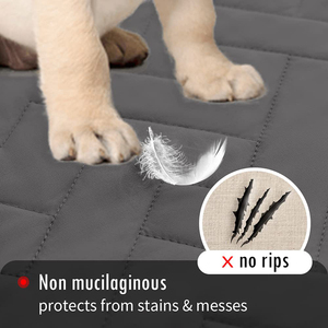 Protège-meubles pour chiot et chat, canapé, <span class=keywords><strong>coussin</strong></span>, tapis de couchage, couverture imperméable réversible à imprimé, couverture de lit pour chien, lavable en machine - Product Image 5