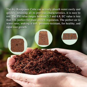 Bán buôn Coco than bùn xơ dừa phát triển phích cắm khởi động bọt biển đất bản sao Nông Nghiệp Nhà kính 50 cái với khay - Product Image 3