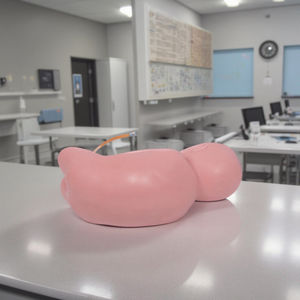 DARHMMY Mannequin anatomique avancé en plastique PVC Modèle de ponction lombaire néonatale pour la formation clinique en sciences médicales - Product Image 2