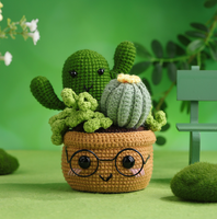 Ensemble de démarrage pour crochet et tricot pour adultes Kit d'artisanat textile pour cactus et plantes pour débutants