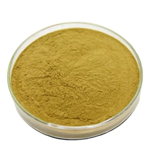 Natural Astragalus Root Extract 10% Astragaloside IV