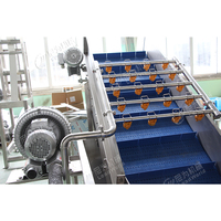 Industriële Automatische Sla Salade Verwerking Lijn Groente En Fruit Wassen Cleaning Machine