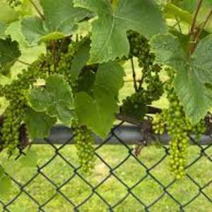 Malla de Alambre Galvanizada de Alta Calidad con Recubrimiento de PVC para Campos Deportivos H&F HF-CLF003, Diámetro de Alambre de 3-5 mm, Resistente a la Intemperie - Product Image 4