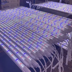 Sıcak satış klon LED 4FT 4FT 6500K 9000K LED bitki yetiştirme lambaları yayılım + vejetatif için tasarlanmış özelleştirilmiş