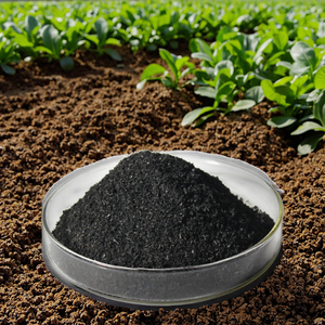 La cina ha reso il Biochar di modifica del suolo con un eccellente adsorbimento e regolazione del pH - Product Image 3