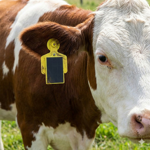Traceur GPS professionnel 4G LTE avec panneau solaire, étanche IP67, pour le suivi du bétail et des chevaux - Product Image 4
